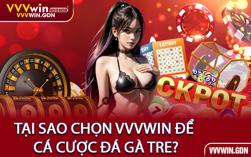 Tại Sao Chọn VVVWin Để Cá Cược Đá Gà Tre?