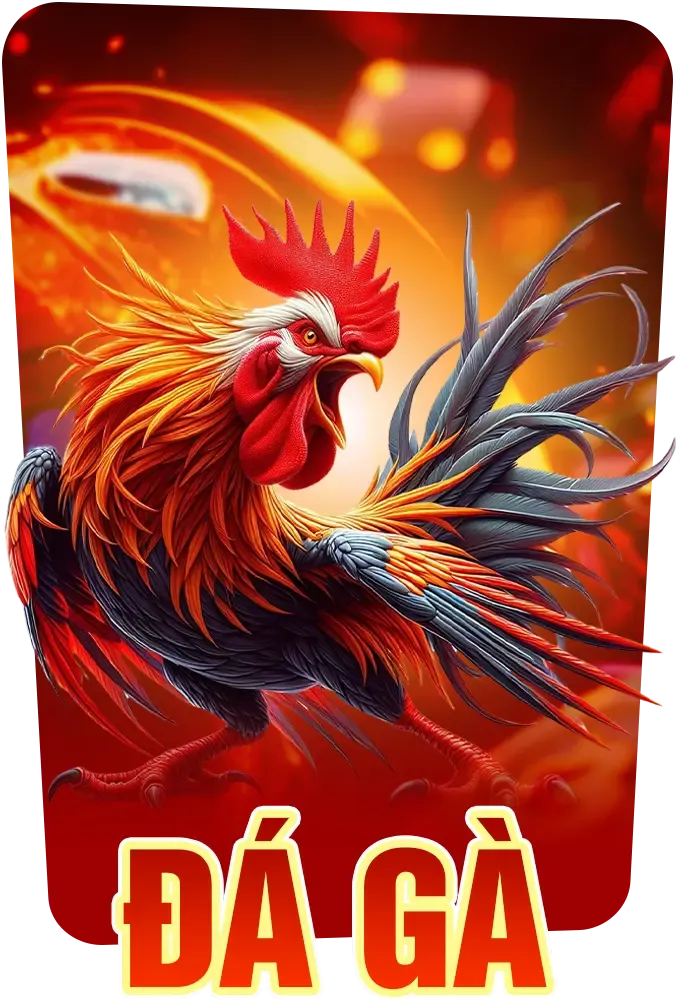Đá Gà VVVWin